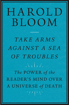 c2786eb0844b461887a0813356a098f0.png